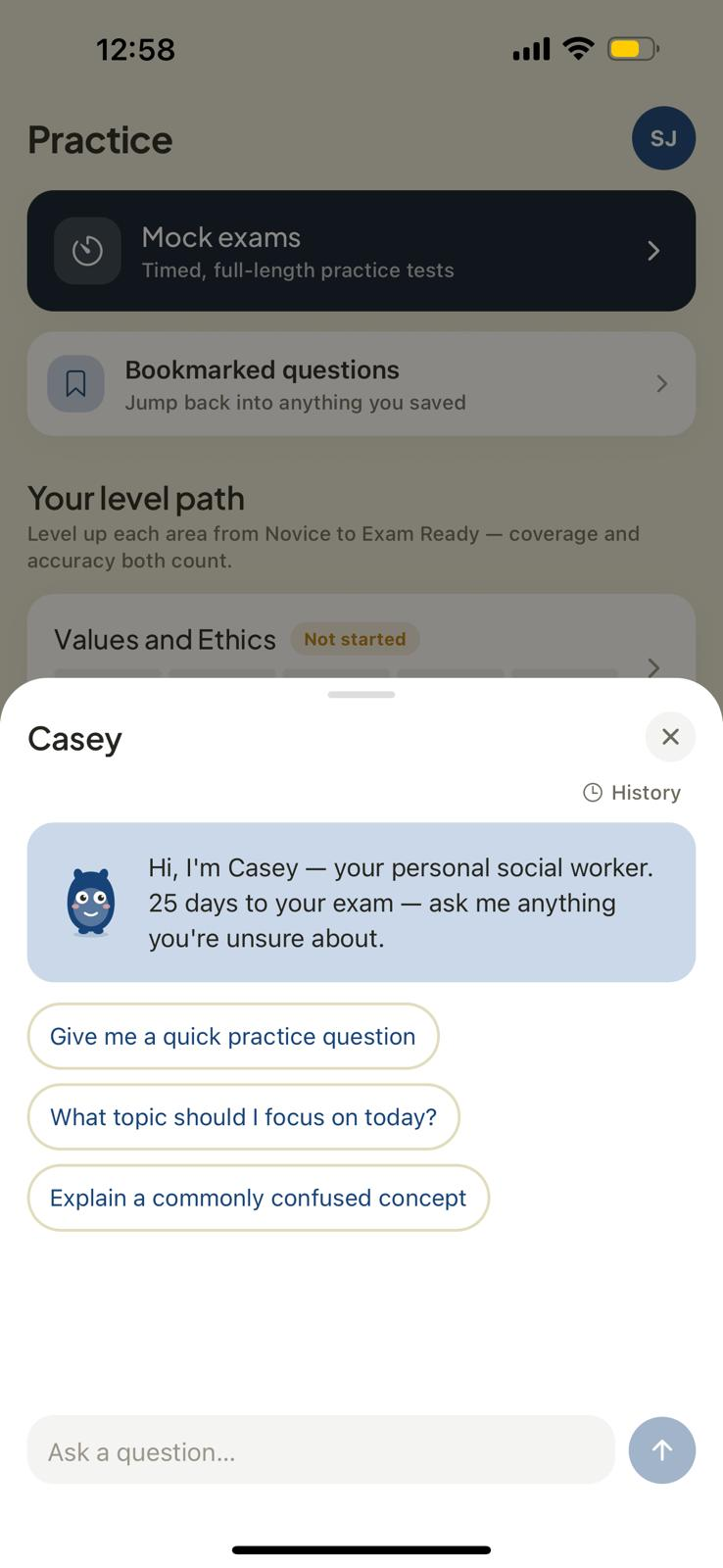 Casey, the personal social work tutor chat